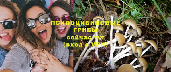 метадон Лиски