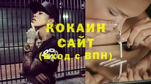 дмт Ладушкин