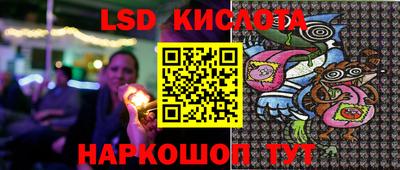 СК Бийск