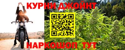 прущие грибы Волгодонск