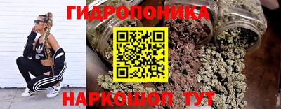 СК Бийск