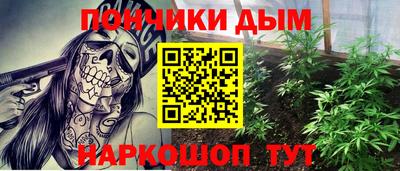 СК Бийск