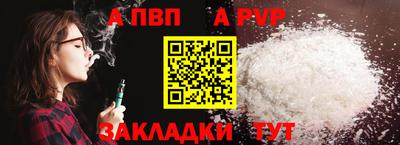 СК Бийск
