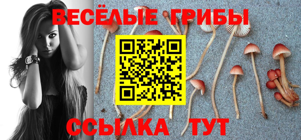 Псилоцибиновые грибы мицелий Всеволожск