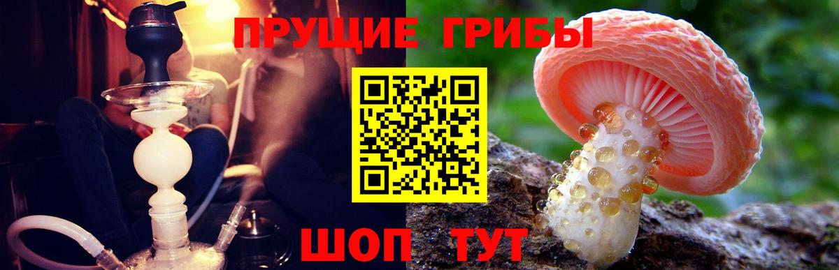 Псилоцибиновые грибы GOLDEN TEACHER  Вход с VPN  Всеволожск 