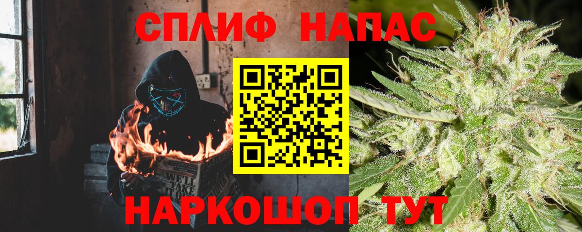 Бошки марихуана семена  Конопля Amnesia  МАРИХУАНА Bruce Banner  Всеволожск 